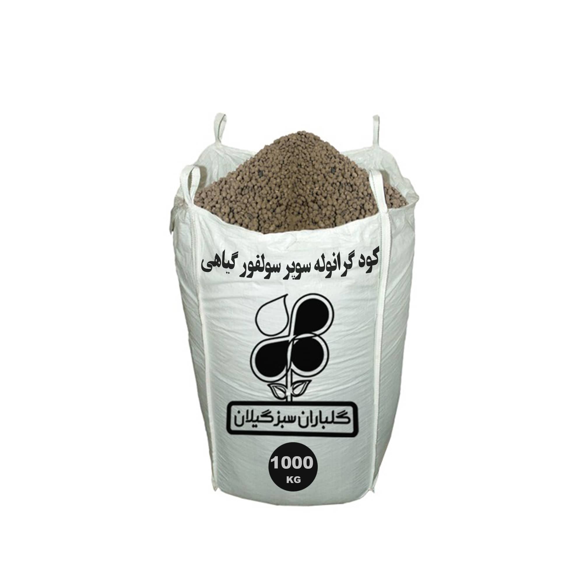 چگونه هسته البالو بکاریم؟