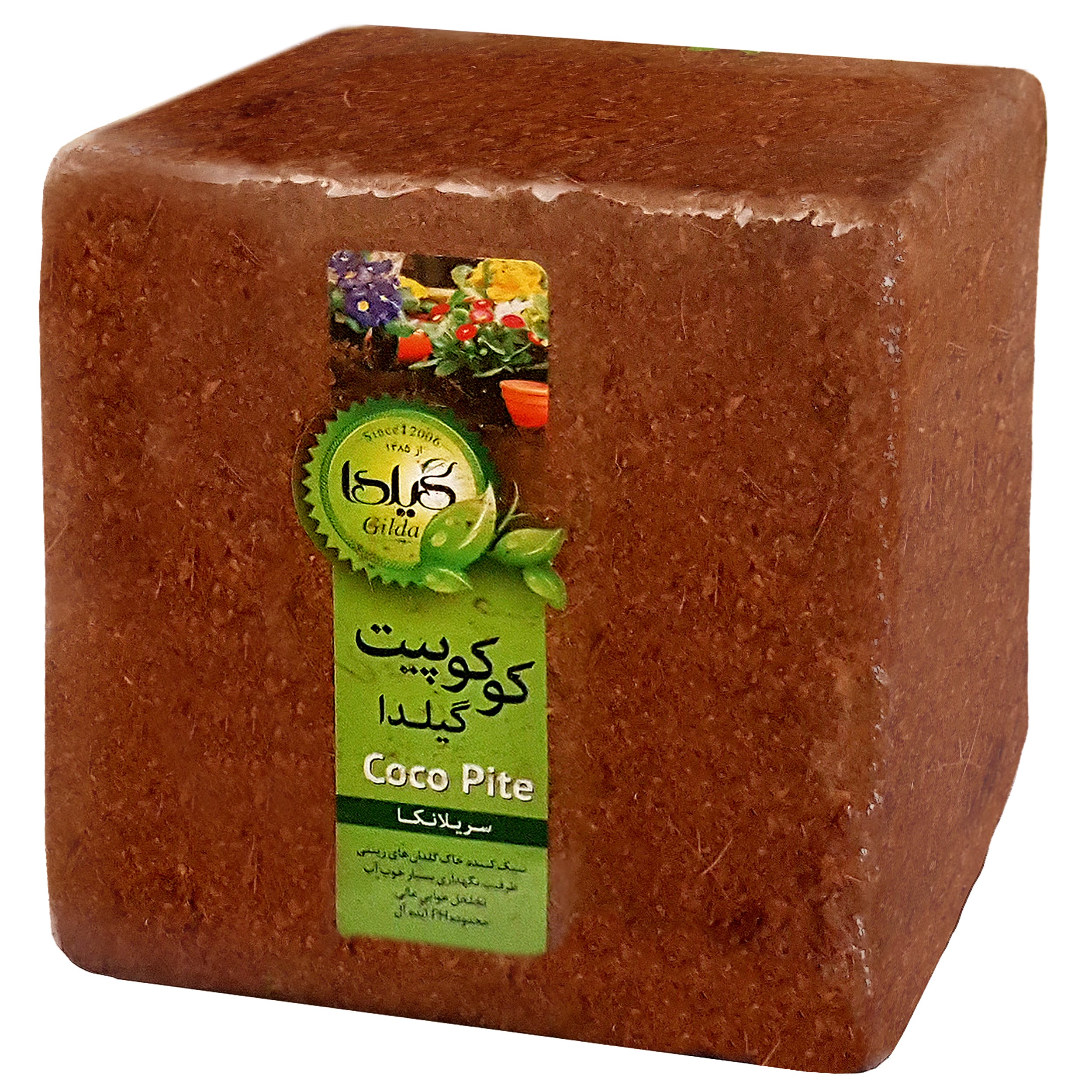 چگونه گندم سبز کنیم؟